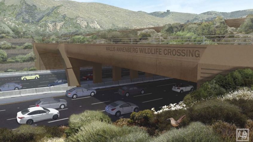 Uma representação do Wallis Annenberg Wildlife Overpass concluído / Cortesia da Federação Nacional da Vida Selvagem