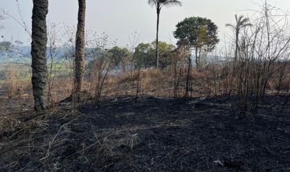 Polícia Federal prende dois homens por queimada ilegal no Amazonas