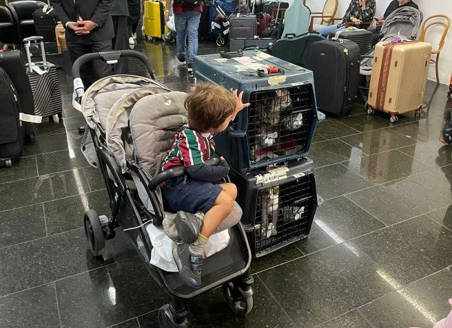 Segundo voo de repatriação de brasileiros em Israel devido à guerra com o Hamas também trouxe pets / Rachel Amorim/CNN