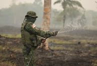 PF prende dois suspeitos de incendiar mais de 950 hectares no Amazonas