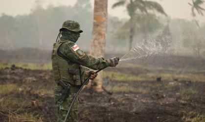 Emissão de gases por incêndios é recorde no Mato Grosso do Sul e no Amazonas