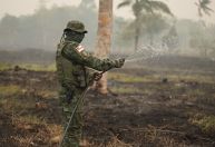 Amazonas tem pior agosto para queimadas desde 1998