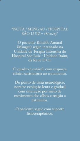 Novo boletim médico diz que Mingau segue estável com evolução neurológica lenta / Reprodução/ Instagram