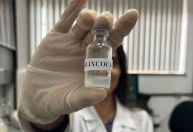 Vacina da UFMG contra a dependência de cocaína e crack vence o Prêmio Euro