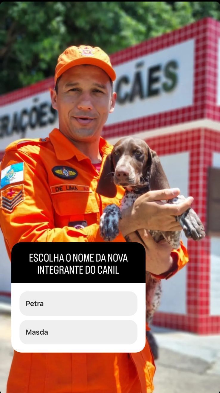 Corpo de Bombeiros fez enquete nas redes sociais para que os cidadãos escolham os nomes das filhotes / Divulgação/Corpo de Bombeiros do Rio