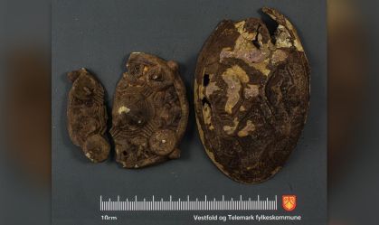 Família norueguesa encontra tesouro viking ao vasculhar quintal de casa