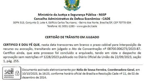 Documento publicado pelo Cade sobre a SAF do Galo nesta terça-feira (10) / Reprodução