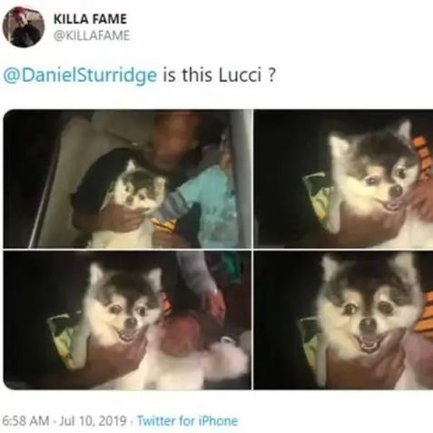 Post do rapper Killa Fame mostrando que encontrou o cachorro de Daniel Sturridge / Reprodução/Twitter