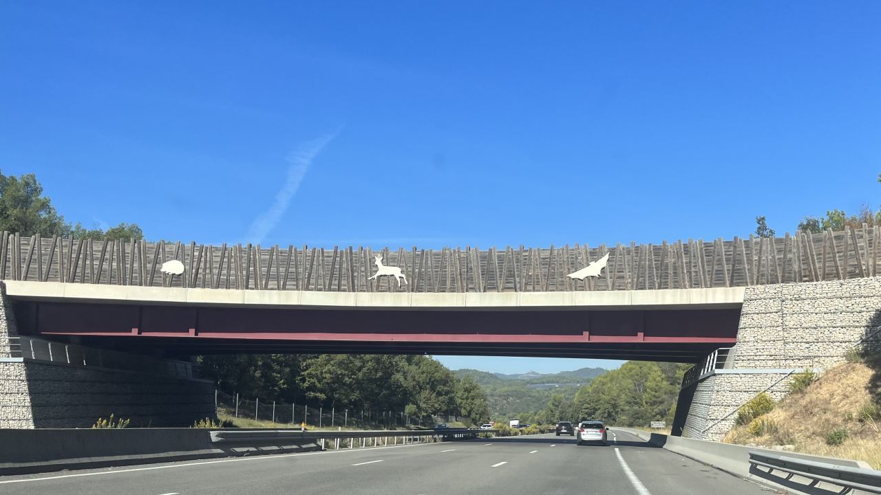 Viaduto para a vida selvagem - "ecopont" em francês - em Brignoles, na França / Martha Shade/CNN