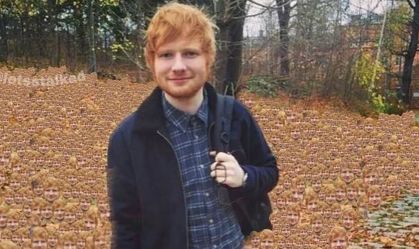 ed-sheeran-tumulo-em-casa