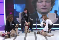 Candidato à Presidência da Argentina, Milei tem quatro cães clonados