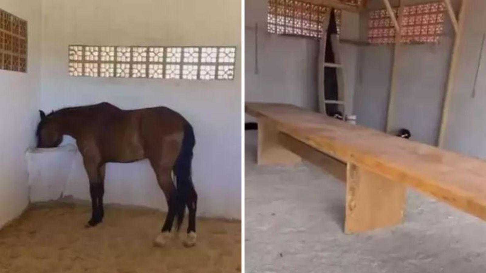 Área da baia para cavalos e grande mesa com vários lugares / Reprodução/João Gomes/Instagram