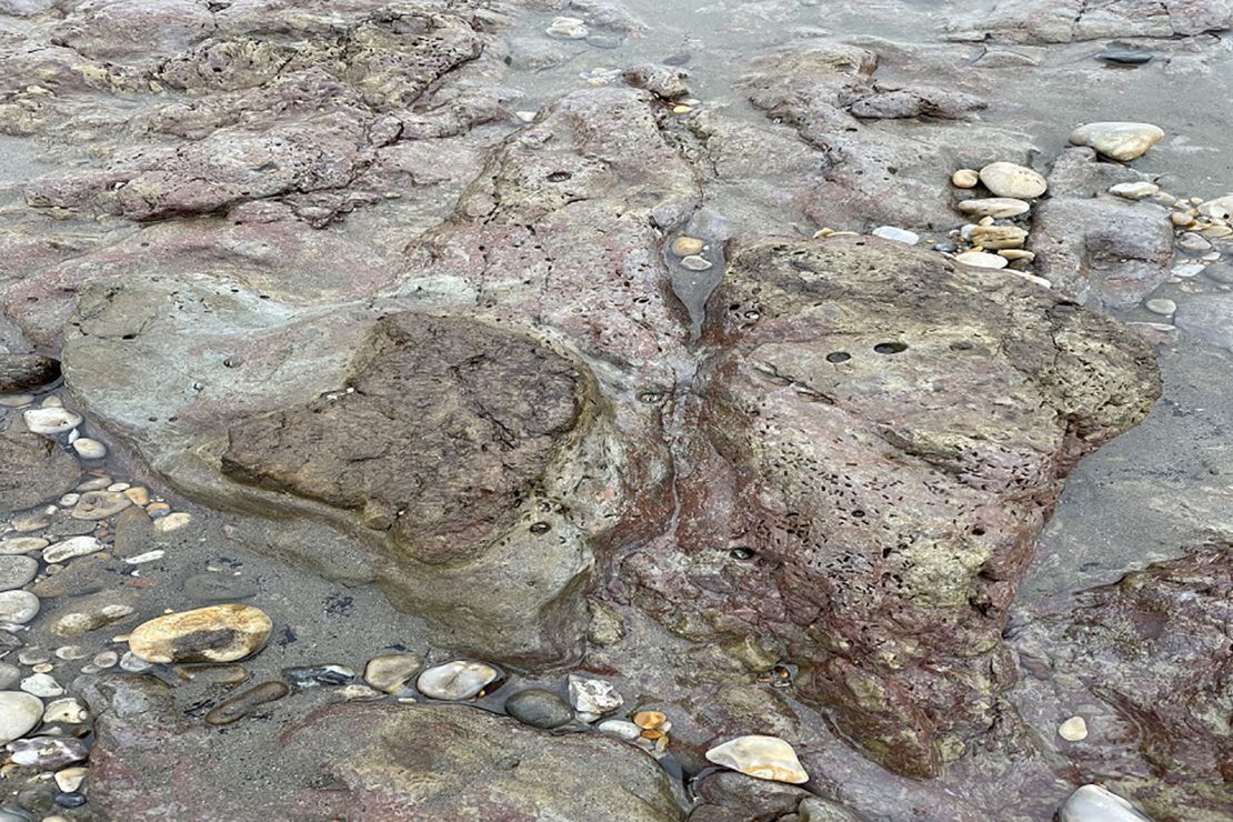 As pegadas de dinossauros foram descobertas em uma praia junto a uma cafeteria, um parque de estacionamento e um ponto de ônibus / JBA Consultoria/Agência de Meio Ambiente