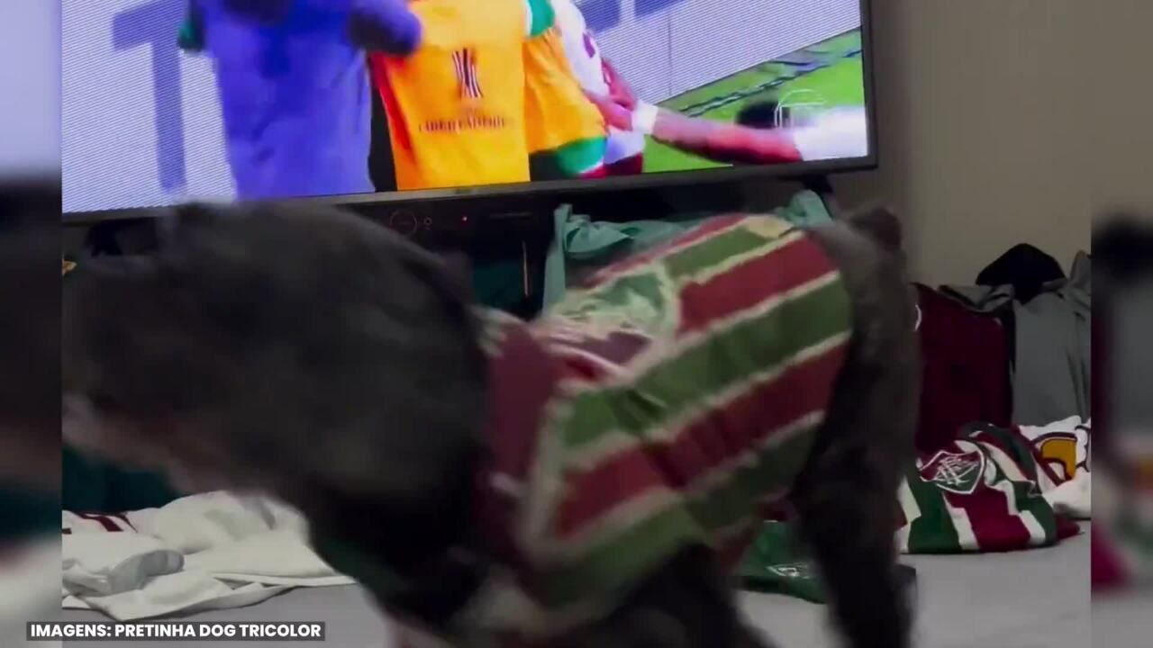 Cadela Pretinha comemora os gols do Fluminense e viraliza nas redes