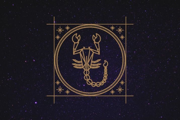 Características do signo de escorpião / Imagem: NP Digital/Canva