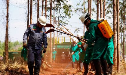 Empresas atuam na prevenção e combate a incêndios no Cerrado