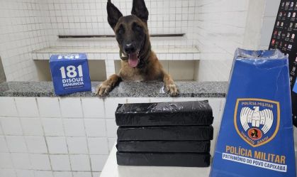 Cão farejador encontra 3 quilos de tabletes de maconha em Serra, no Espírito Santo