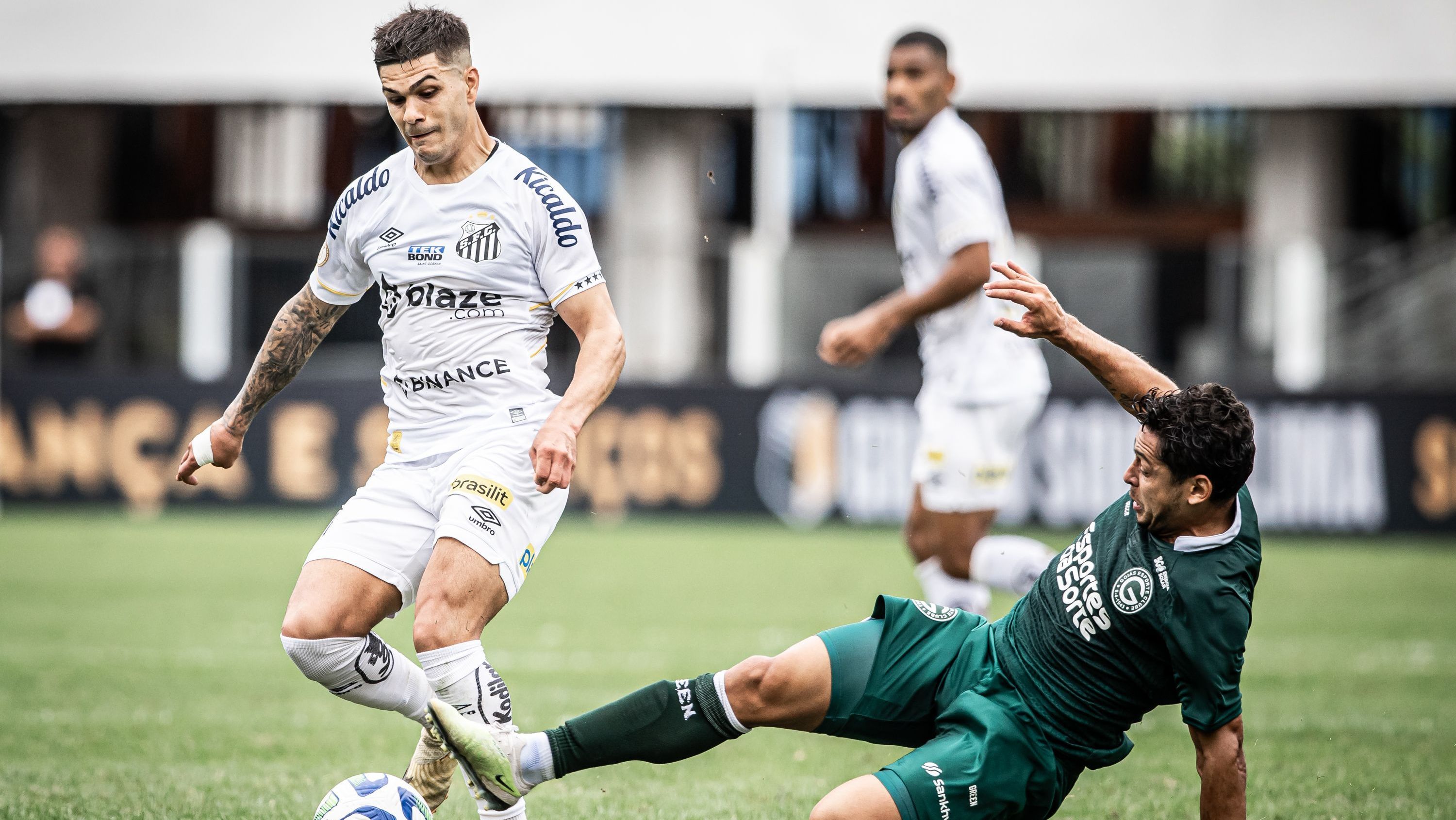 Santos e Goiás em campo pelo primeiro turno do Brasileirão