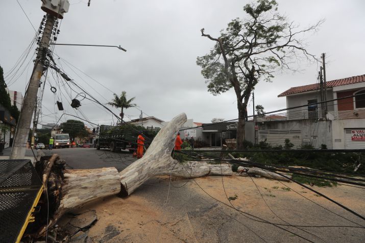 Funcionários da prefeitura e da Enel, trabalham na retirada de uma árvore de grande porte que caiu sobre fios e interrompeu energia elétrica, devido a chuva de ontem na Rua Dom Armando Lombardi, Vila Progredior, na região da Capela do Socorro, Zona Sul de São Paulo / ALEX SILVA/ESTADÃO CONTEÚDO
