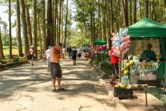 Pessoas aproveitam domingo de calor no Parque do Carmo