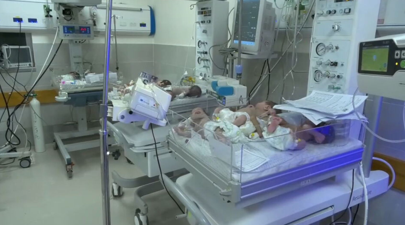 Bebês resgatados no Al-Shifa e levados para o Egito. / Reuters