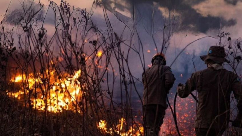Bombeiros do Mato Grosso do Sul combatem incêndios no Pantanal / Corpo de Bombeiros Militar do Mato Grosso do Sul/Divulgação
