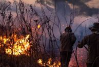 MT e MS somam quase 4 mil focos de incêndio em novembro; Pantanal é afetado