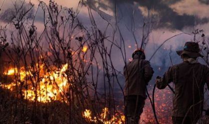 MT e MS somam quase 4 mil focos de incêndio em novembro; Pantanal é afetado