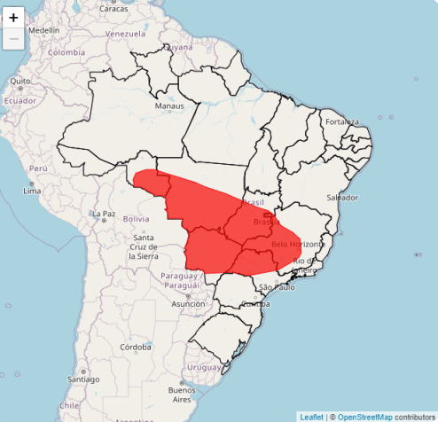 Área vermelho indica grande perigo para a forte onda de calor que atinge boa parte do país/ Reprodução/Inmet