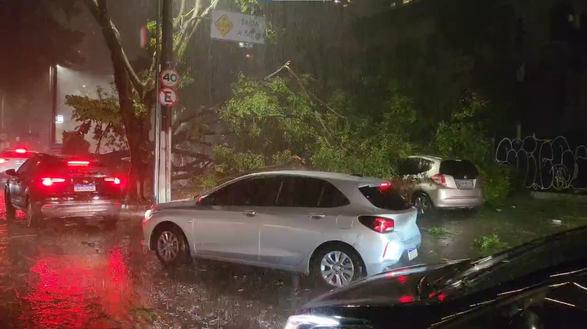 Árvore caiu sobre um carro na rua São Carlos do Pinhal, na região central da capital paulista / CNN