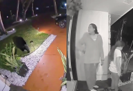 Vídeo: Urso é flagrado roubando comida entregue por delivery nos EUA