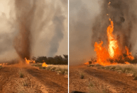 Tornado de fogo destrói fazenda na Austrália em meio a queimadas; assista