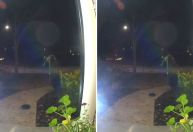 Vídeo: robô aspirador some por dias e dona descobre “fuga” por câmera da porta