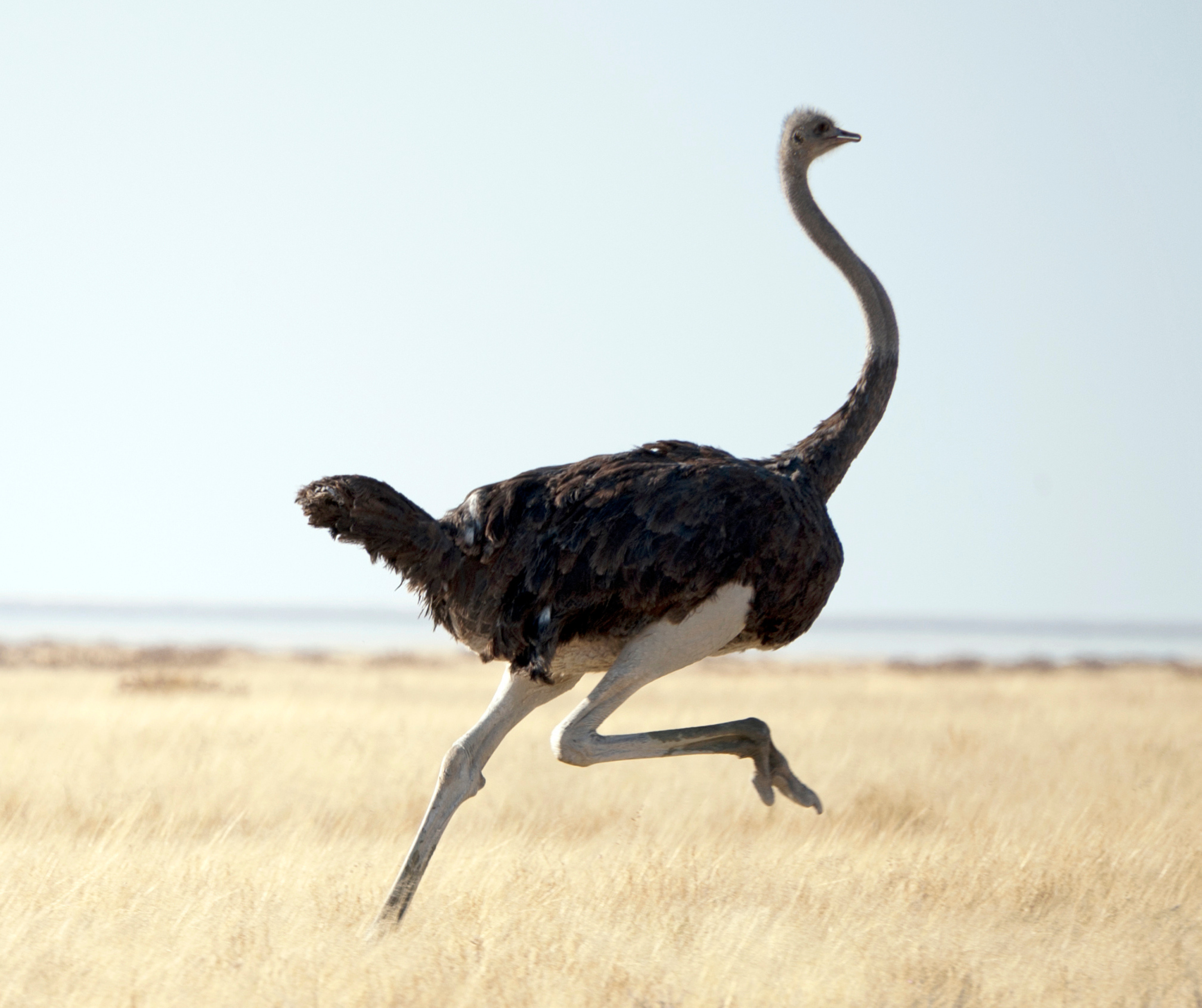 Foto: Getty Images