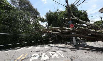 Falta de energia em SP: Consumidor pode pedir ressarcimento por pane elétrica, diz advogada