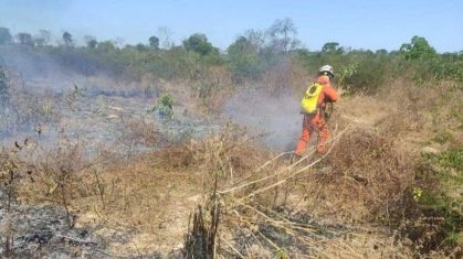 Bombeiros combatem incêndios florestais na Bahia