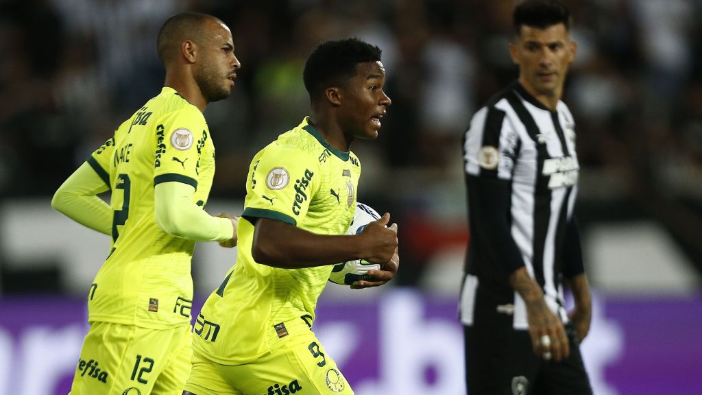 Endrick marcou dois belos gols na virada do Palmeiras sobre o Botafogo