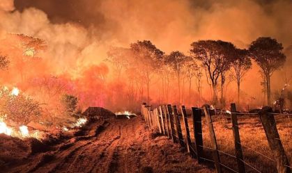 COP28 tem início após ano de "retrocesso" mundial no clima, dizem especialistas
