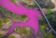 Lago no Havaí fica rosa após teor de sal aumentar em meio à seca extrema; veja imagens