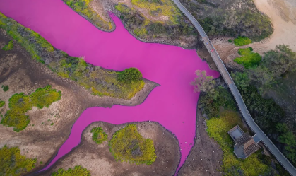 Lago no Havaí fica rosa após teor de sal aumentar em meio à seca extrema; veja imagens