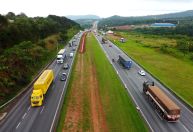 Plantação em beira de rodovia? Senado vai analisar proposta
