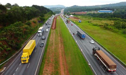 Plantação em beira de rodovia? Senado vai analisar proposta