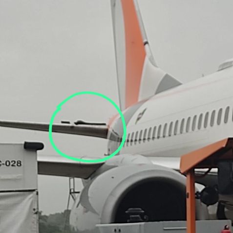 Voo G3 1843 teve fuselagem atingida / Reprodução / Redes sociais