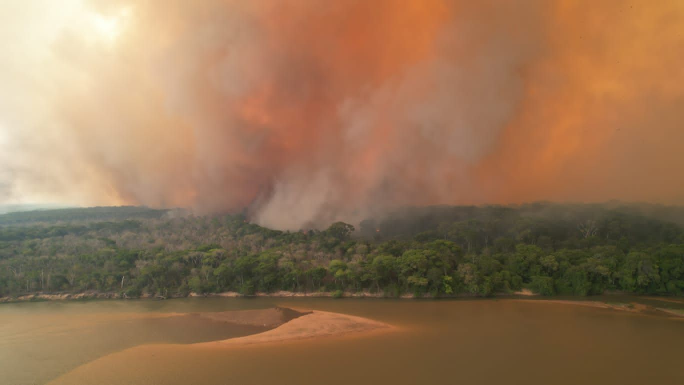 Incêndios atingem a região da Transpantaneira, no Mato Grosso