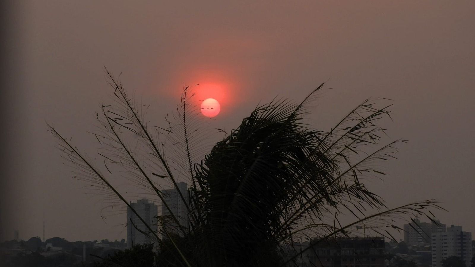 Cidade de Campo Grande, no Mato Grosso do Sul, amanheceu tomada por fumaça após incêndios florestais