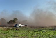 Incêndios no Pantanal aumentam quase 900% e região totaliza maior índice desde 2020, diz WWF-Brasil