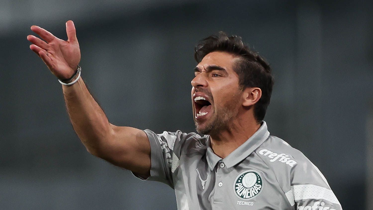 Abel Ferreira no jogo entre Palmeiras e Botafogo