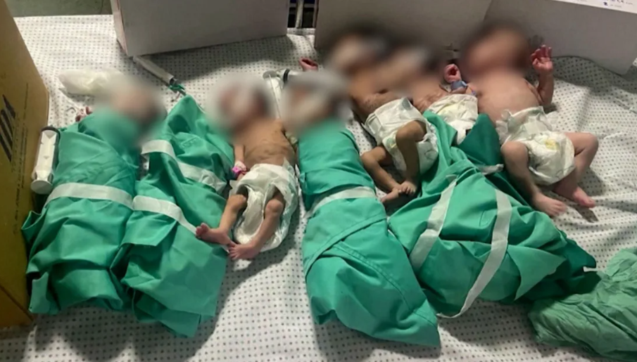 bebes incubadoras gaza