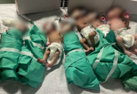Recém-nascidos são retirados de incubadoras em hospital de Gaza após corte de energia