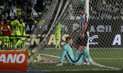 botafogo vs palmeiras